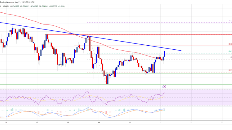 Cardano (ADA) In Focus: Can It Break This Barrier and Reclaim Momentum?