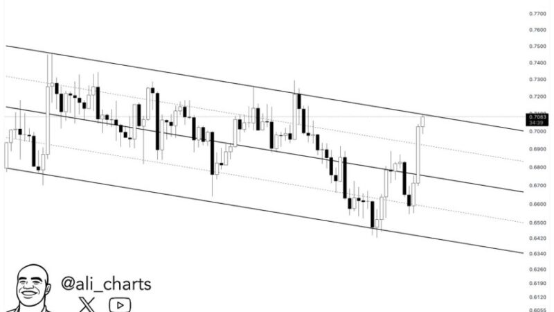 Cardano Approaches Critical Resistance – Break Above Could Trigger Move To $0.80