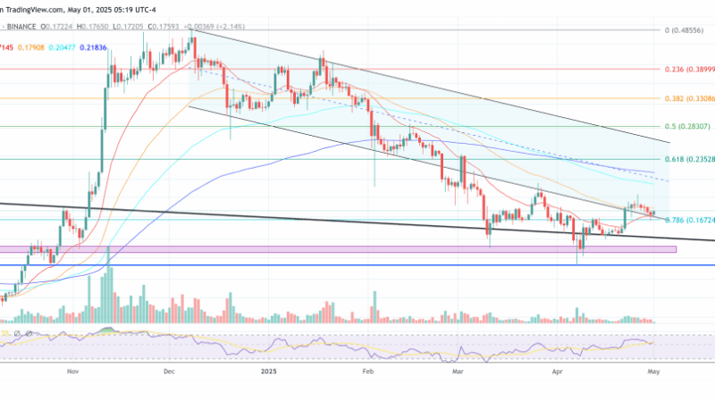 Dogecoin Could Hit $1.42 This Cycle In Bull Case, Says 21Shares