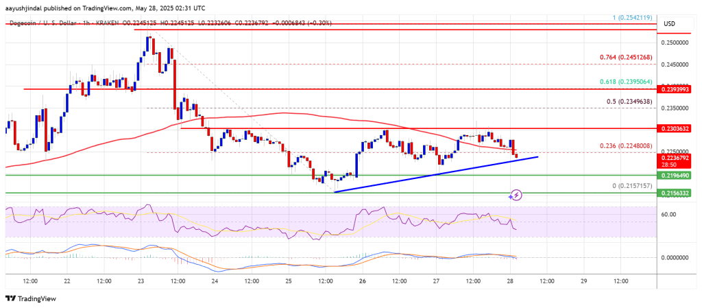 Dogecoin (DOGE) at Risk — Can Support Hold This Time?