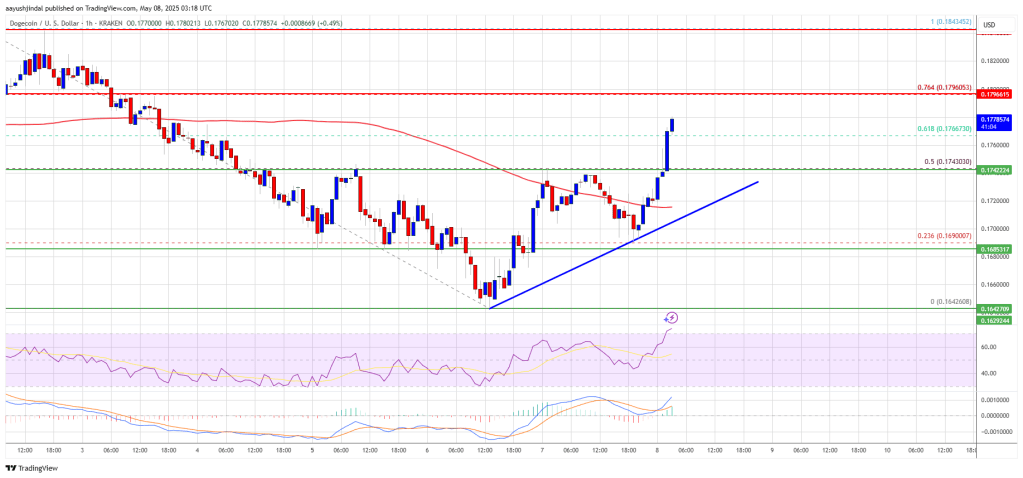 Dogecoin (DOGE) Flashes Bullish Signals—Is a Major Rally on the Horizon?
