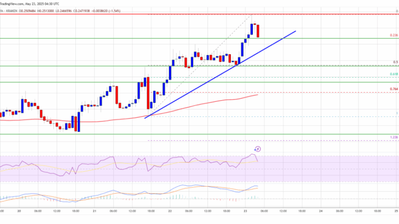 Dogecoin (DOGE) Heats Up: Upside Move Hints at Major Breakout Ahead