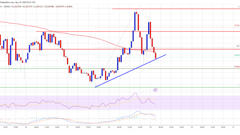 Dogecoin (DOGE) Struggles to Sustain Gain as Meme Coin Mania Cools Off