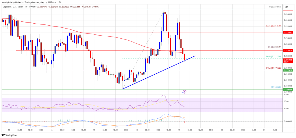 Dogecoin (DOGE) Struggles to Sustain Gain as Meme Coin Mania Cools Off