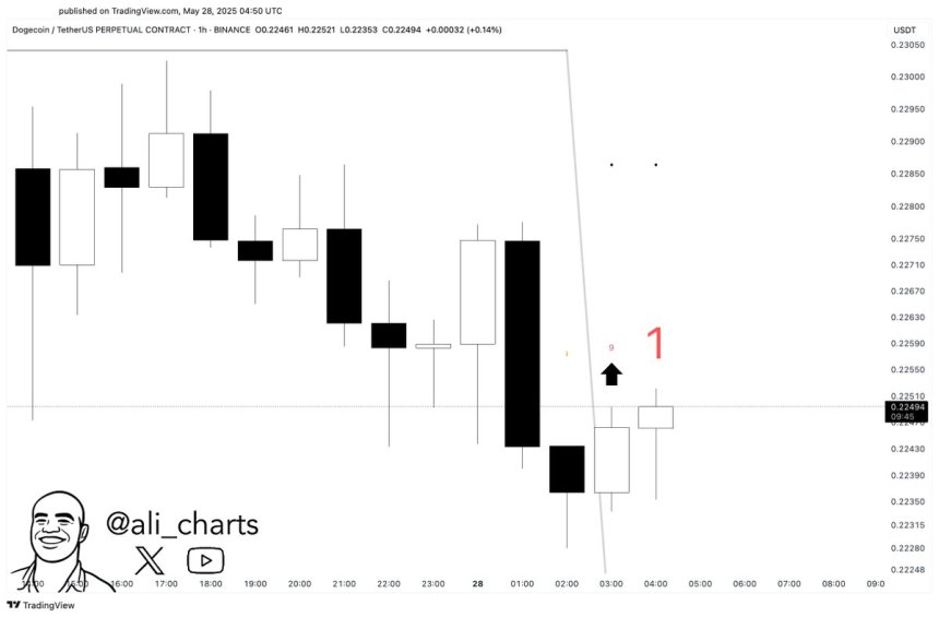 Dogecoin Flashes Buy Signal – Key Indicator Hints At Rebound