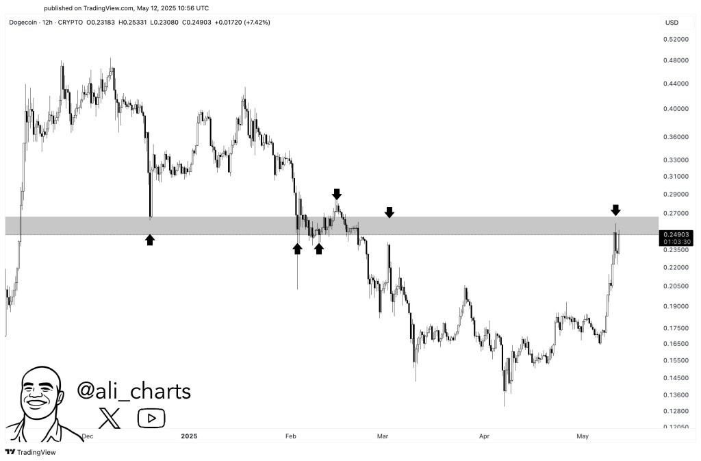 Dogecoin Hits Critical Zone—Here’s What 3 Leading Analysts Are Watching