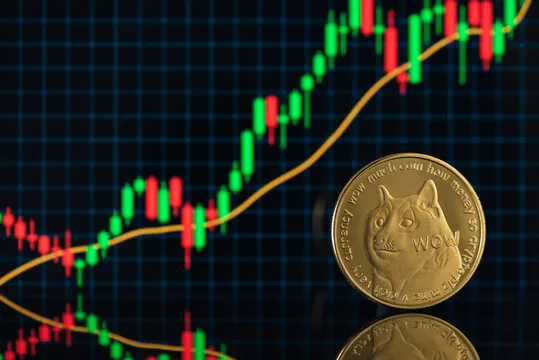 Dogecoin On-Chain Activity Hits 6-Month High: Eyes On $0.30 Flip or Breakdown?