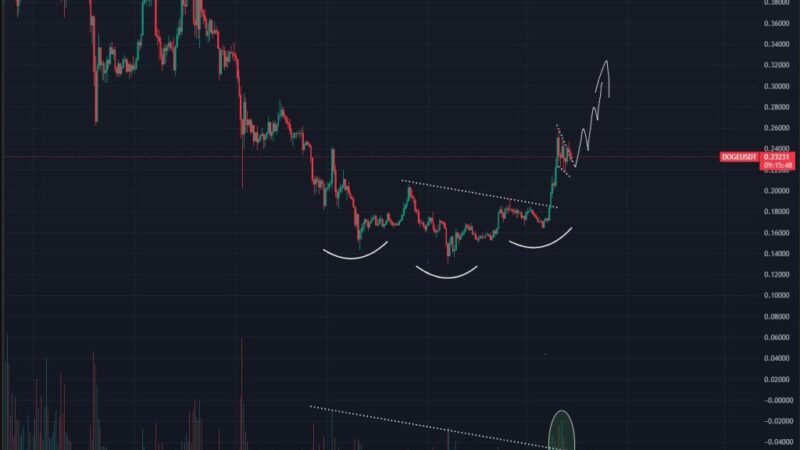 Dogecoin Pullback May Be Short-Lived—Here’s The Next Price Target