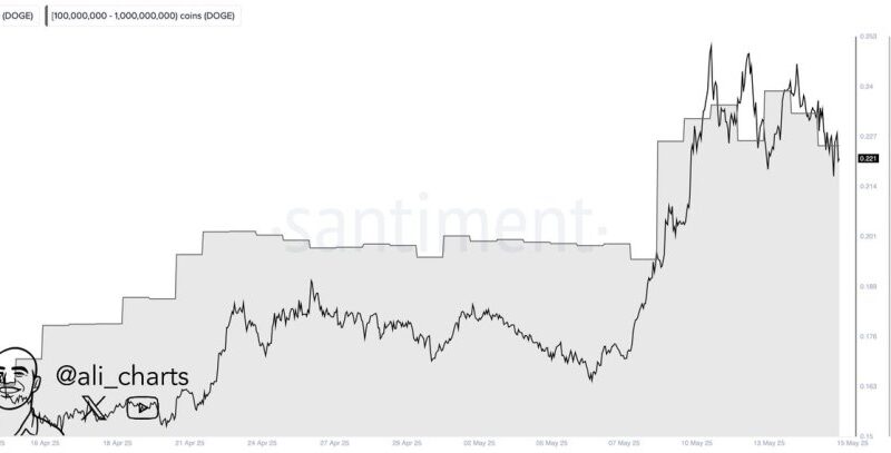 Dogecoin Whales Accumulate 1 Billion DOGE In A Month: Fueling Price Surge Speculation