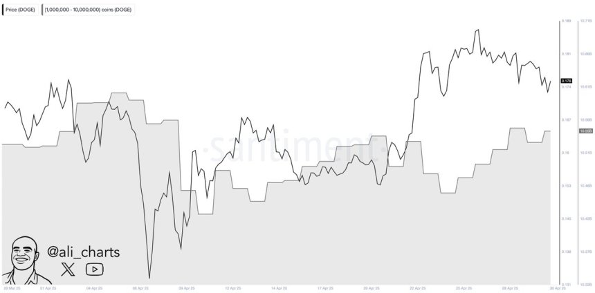 Dogecoin Whales Buy 100 Million DOGE In 24 Hours – Demand Signals Growing Confidence
