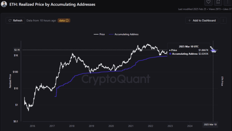 Ethereum Holders Stay Committed Despite Unrealized Losses – Signs Of An Incoming Rally?