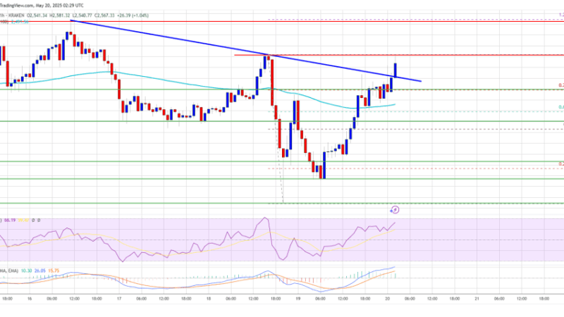 Ethereum Price Flashes Bullish Signal, But Can It Power Through Obstacles?