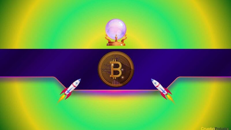 Important Bitcoin Metric Hits 6-Month High as BTC Price Prepares for Rebound