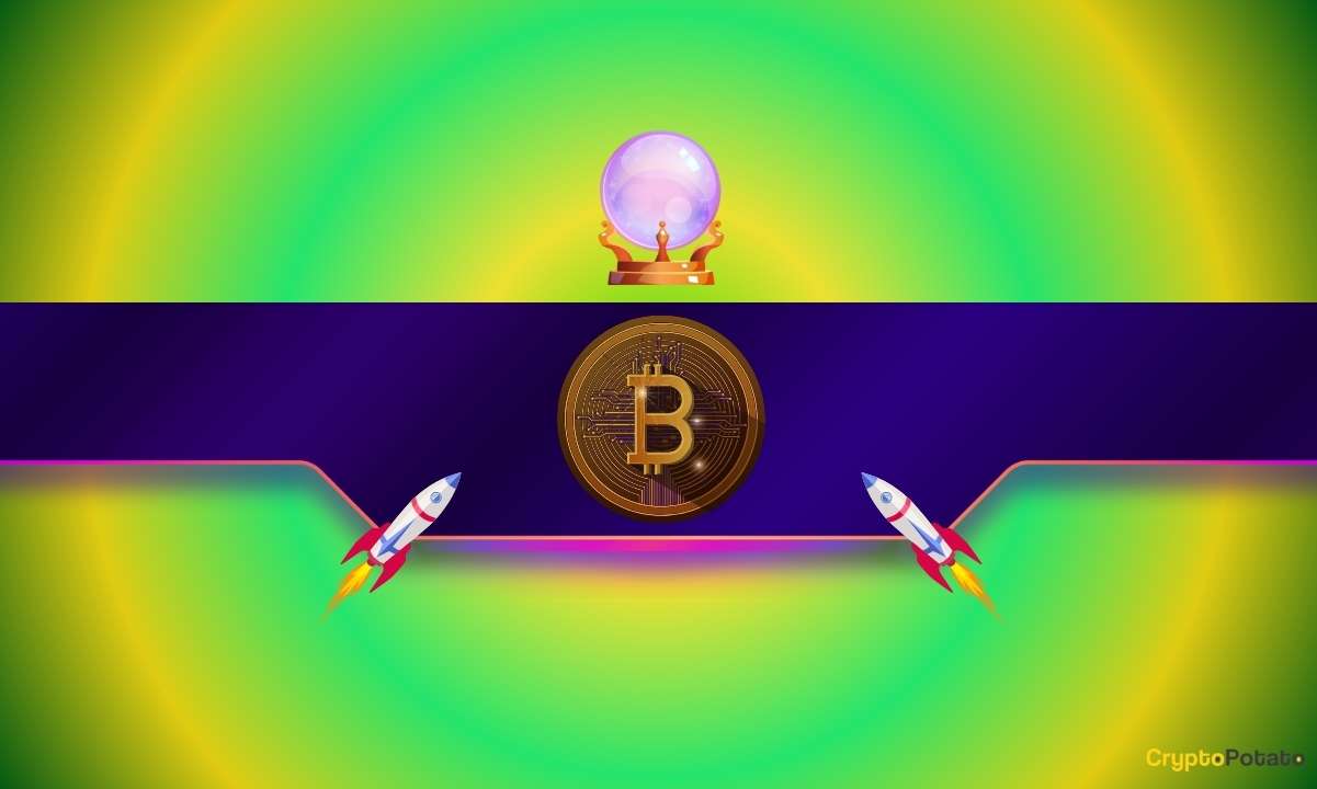 Important Bitcoin Metric Hits 6-Month High as BTC Price Prepares for Rebound