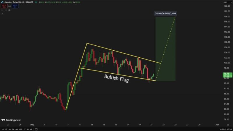 Litecoin Eyes $117.50 As Price Rebounds From Key Support – Analyst