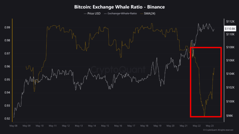 Massive Whale Activity Detected on Binance as Bitcoin Tests New Highs
