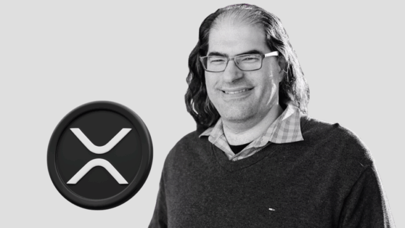 Ripple CTO Dismisses $237M XRP Buy Theory Amid Manipulation Claims