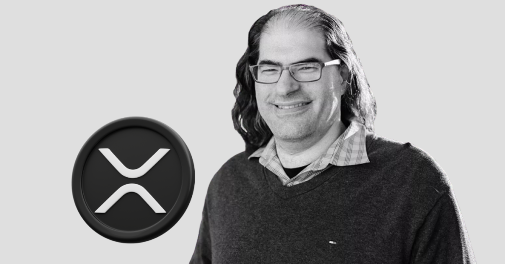 Ripple CTO Dismisses $237M XRP Buy Theory Amid Manipulation Claims