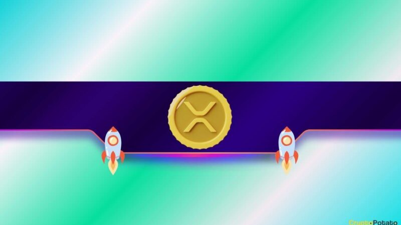 Ripple (XRP) Outshines ETH, DOGE, ADA in This Crucial Metric: Details