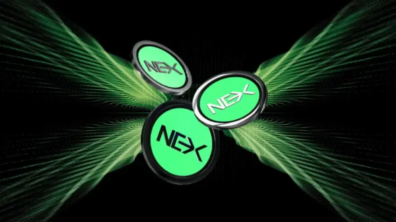SHIB and BONK Struggle to Hold Momentum: Nexchain Named Top Trending Crypto of 2025
