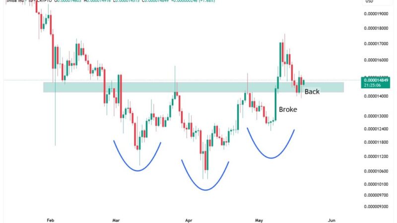 Shiba Inu Bulls Roar To Life After Breakout—Next Price Targets