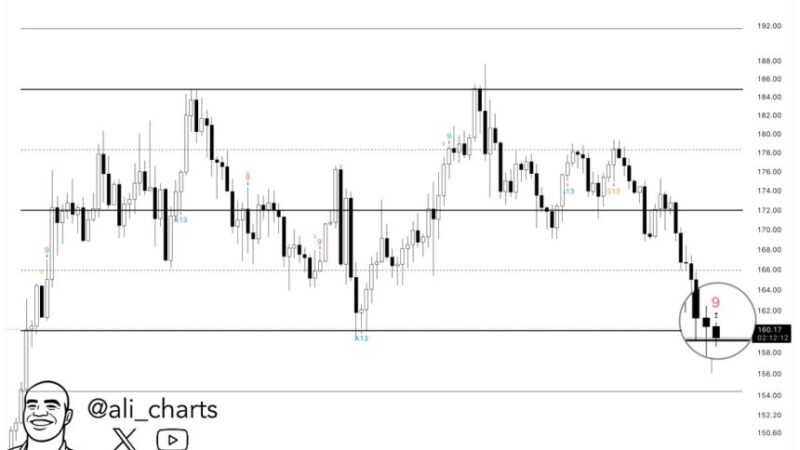 Solana Flashes Buy Signal – $159 Support Key For Rebound