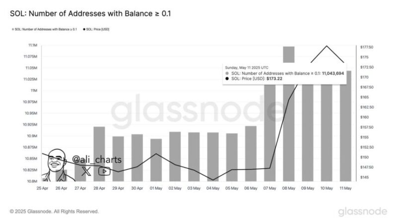 Solana Network Activity Grows As 11M Wallets Now Hold 0.1 SOL Or More – Analyst