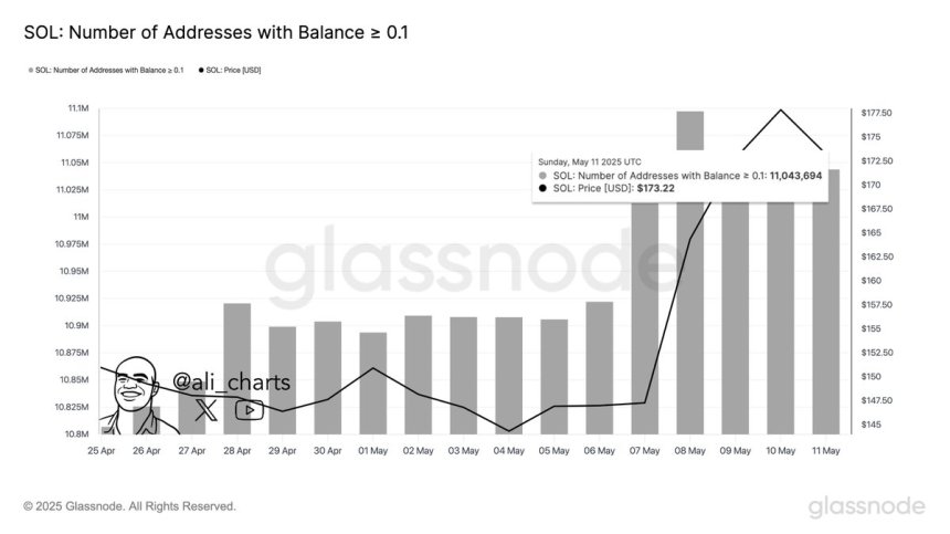Solana Network Activity Grows As 11M Wallets Now Hold 0.1 SOL Or More – Analyst