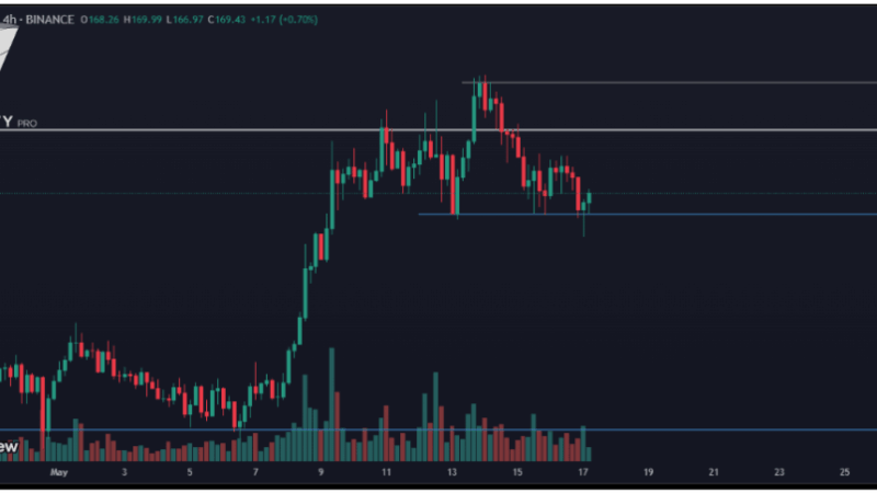 Solana Price Holds $166 Support After Rejection From $183 – What Comes Next?
