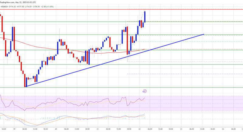 Solana (SOL) Aims Higher With Strong Buyer Support, Next Stop $200?
