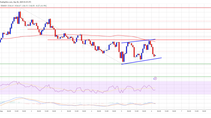 Solana (SOL) Faces Continued Downside Risk—More Losses Likely