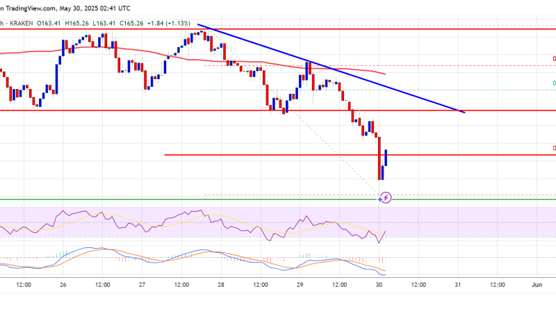 Solana (SOL) Faces Renewed Selling — Will Support Levels Hold?