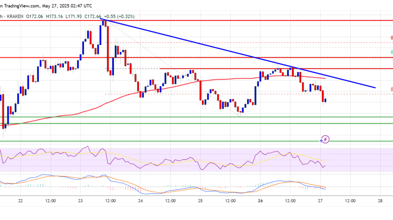 Solana (SOL) Flashes Bearish Signs — Are Further Losses Ahead?