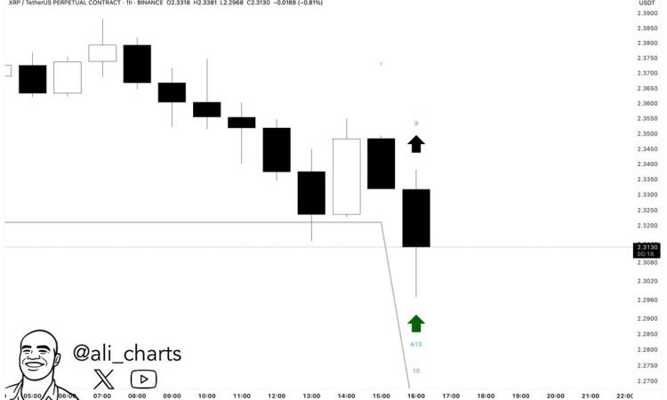 XRP Flashes Bullish Signal – Technical Indicator Hints At Imminent Rebound