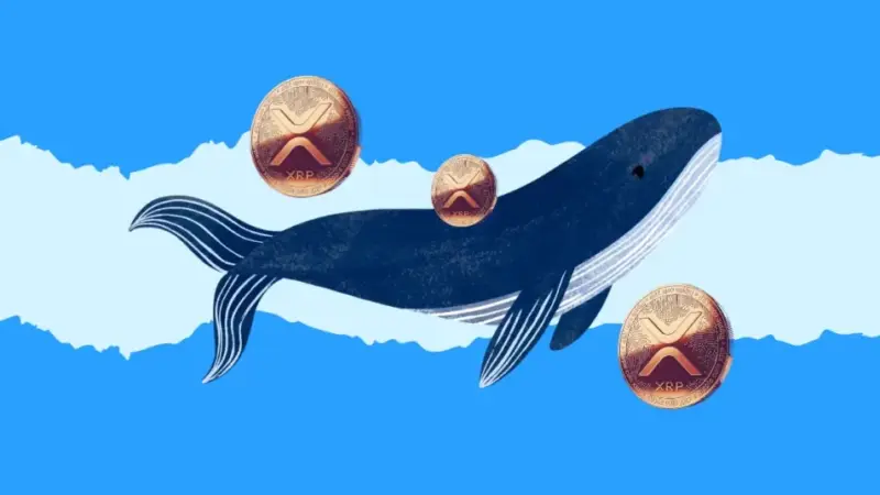 XRP News Today: VivoPower Announces a $121M Private Funding to Become First XRP Treasury-focused Publicly Traded Company