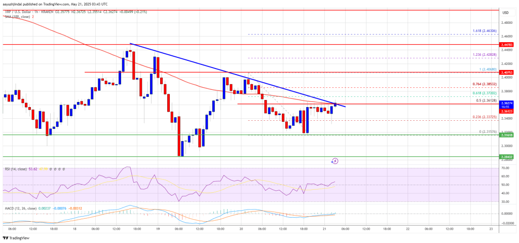 XRP Price Coils for a Breakout — Is The Next Leg Up Imminent?