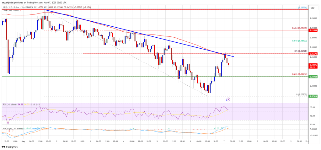XRP Price Hits Resistance—Will the Bulls Push Through or Fade Away?