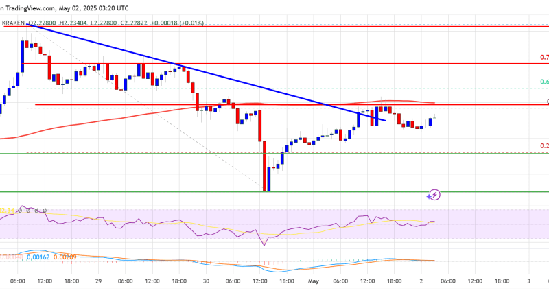 XRP Price On Edge — 100 SMA Break Could Trigger Surge