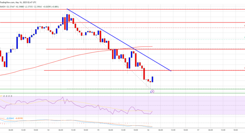 XRP Price Sinks Lower, But Chart Whisperers See a Trap for The Bears