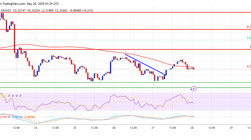 XRP Price Struggles to Stay Afloat — Is a Breakdown Coming?