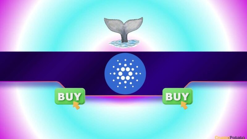 120,000,000 ADA in Just 2 Days: What Are Cardano Whales Preparing for?