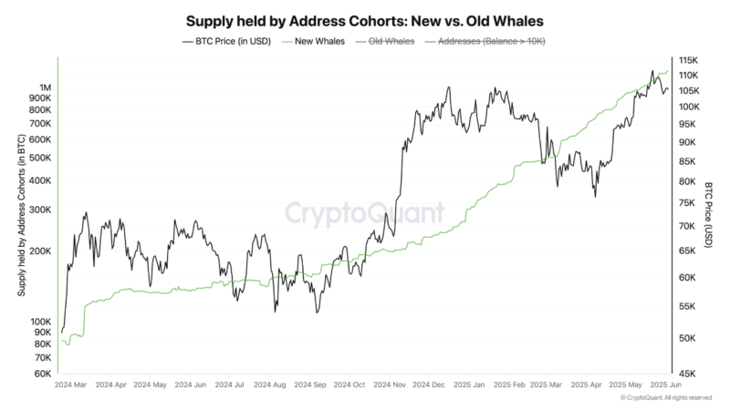 $63 Billion in Bitcoin Scooped Up by New Whales, Is $135K Still in Play?