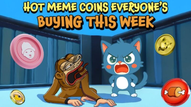 7 Best Cryptos to Buy Now: Doginme, SLERF, and a Cat Presale Claws to $225K+ with 1,000+ Holders