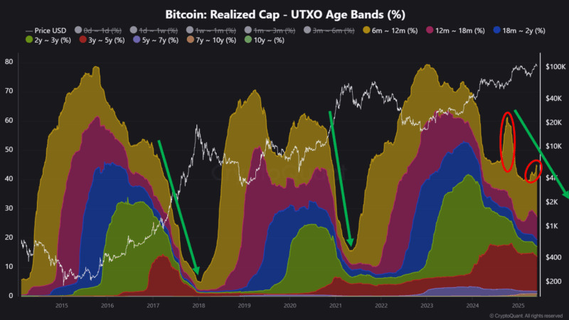 Analyst Suggests Altcoin Recovery May Follow Bitcoin’s Final Cycle Stage—Here’s Why
