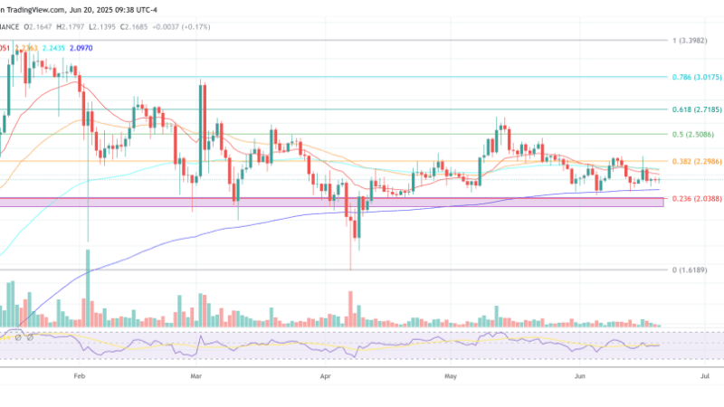 Analyst Warns Of XRP Trap — „You’re Being Played”