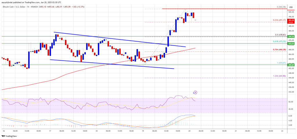 Bitcoin Cash (BCH) Pops 8% Higher — Can The Momentum Continue?