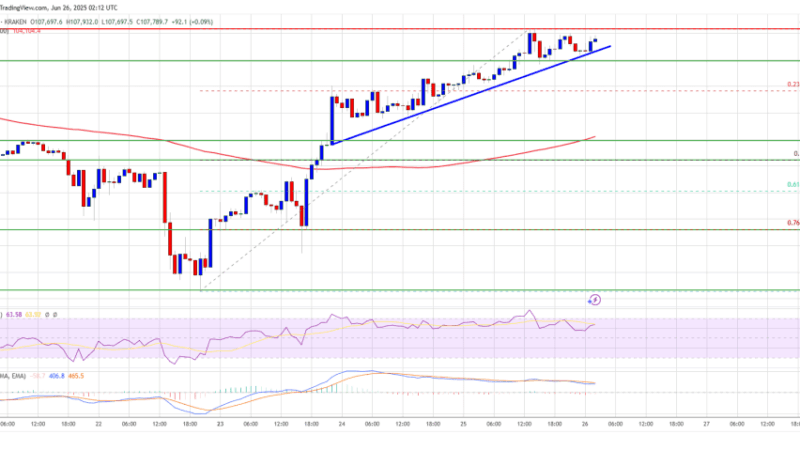 Bitcoin Price Back In The Green — Momentum Builds for More Gains
