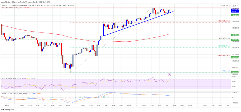 Bitcoin Price Back In The Green — Momentum Builds for More Gains
