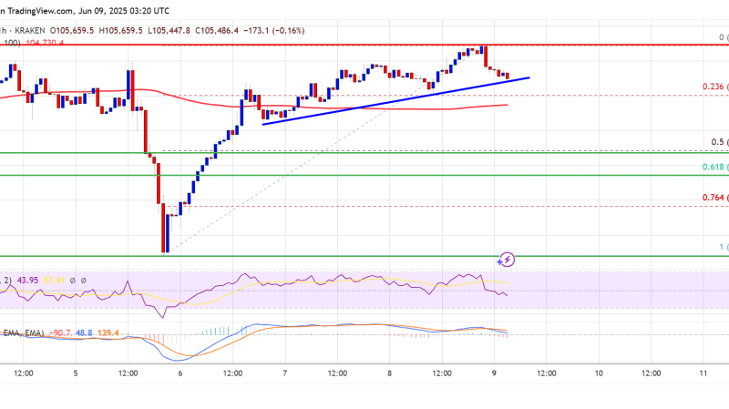 Bitcoin Price Bounces Past 105K: Is a Full-Blown Rally Back on the Cards?