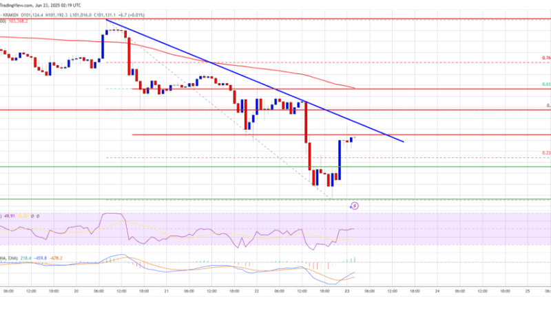 Bitcoin Price Dives as War Escalation Sparks Market Sell-Off